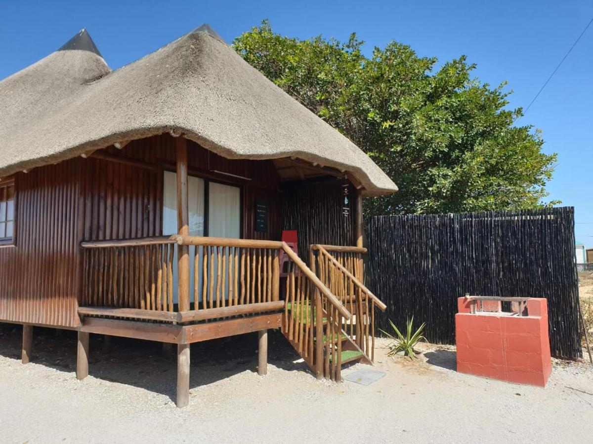 Honne-Pondokkies Hondeklipbaai Extérieur photo