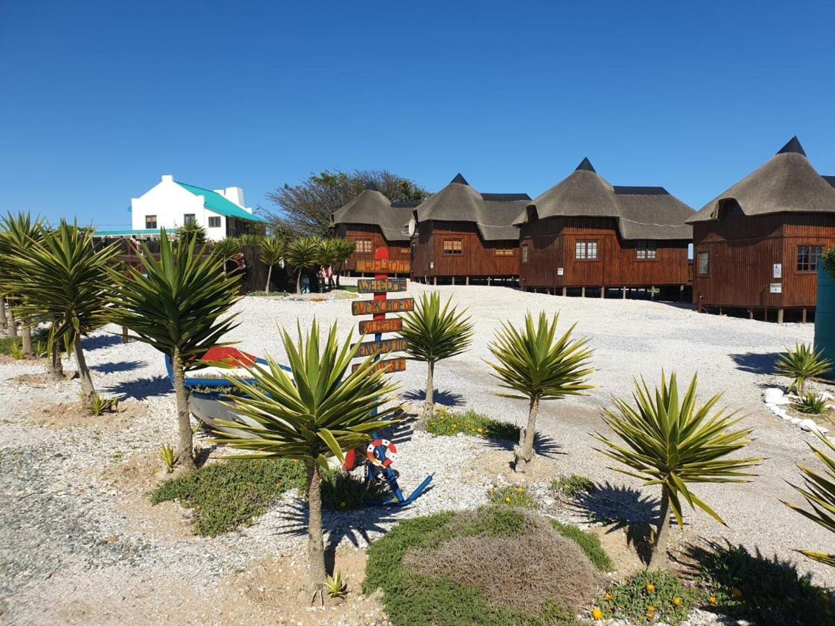 Honne-Pondokkies Hondeklipbaai Extérieur photo