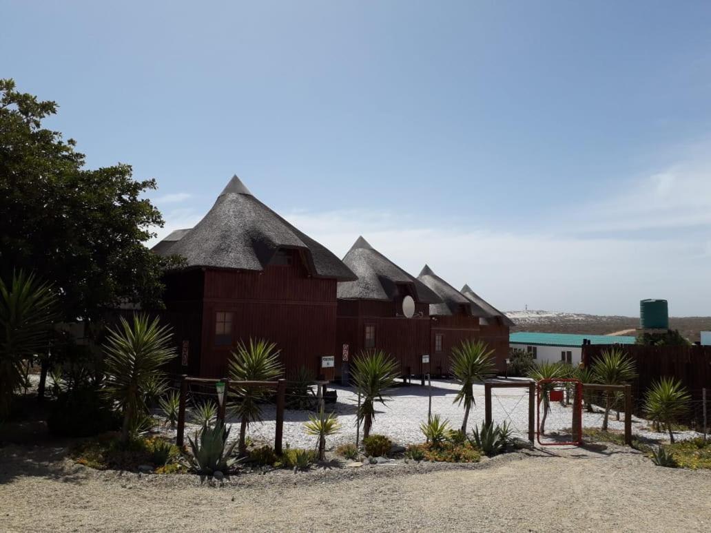 Honne-Pondokkies Hondeklipbaai Extérieur photo