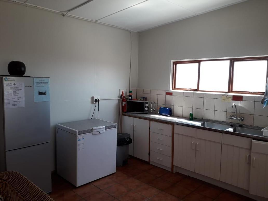 Honne-Pondokkies Hondeklipbaai Extérieur photo