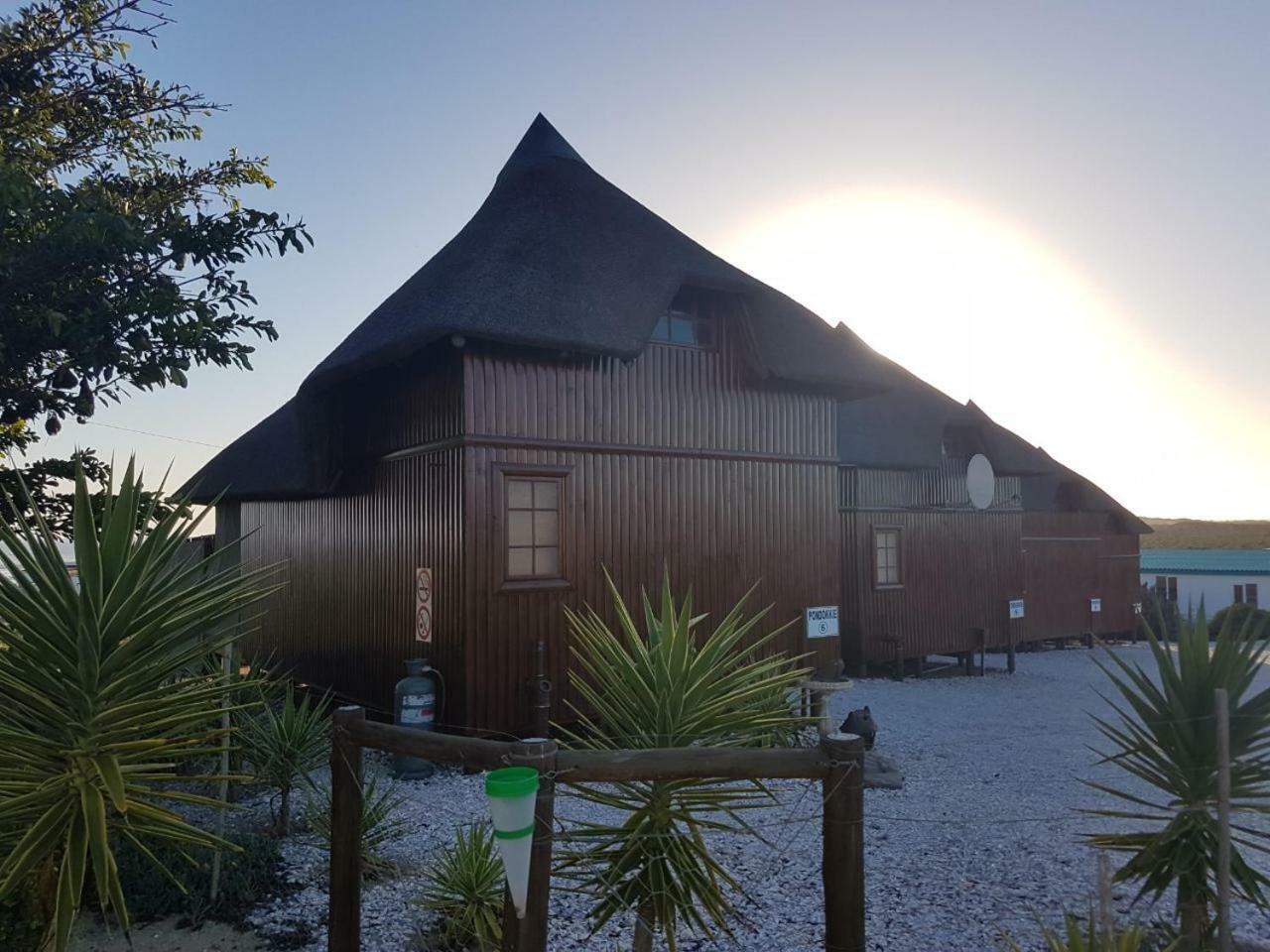Honne-Pondokkies Hondeklipbaai Extérieur photo