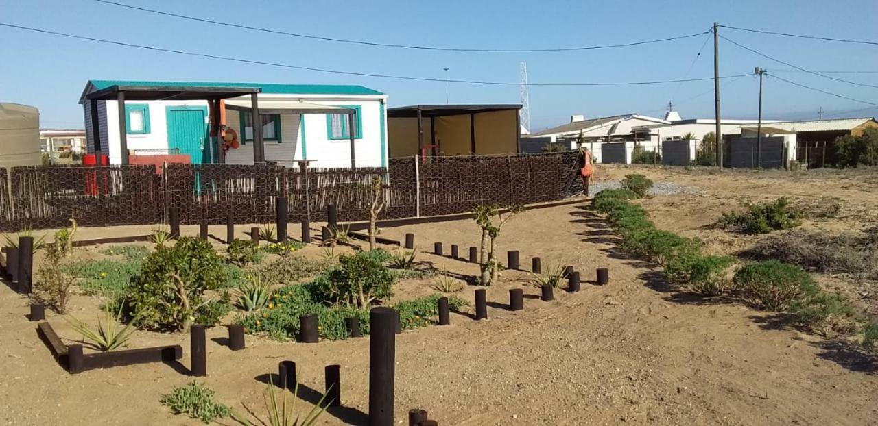 Honne-Pondokkies Hondeklipbaai Extérieur photo