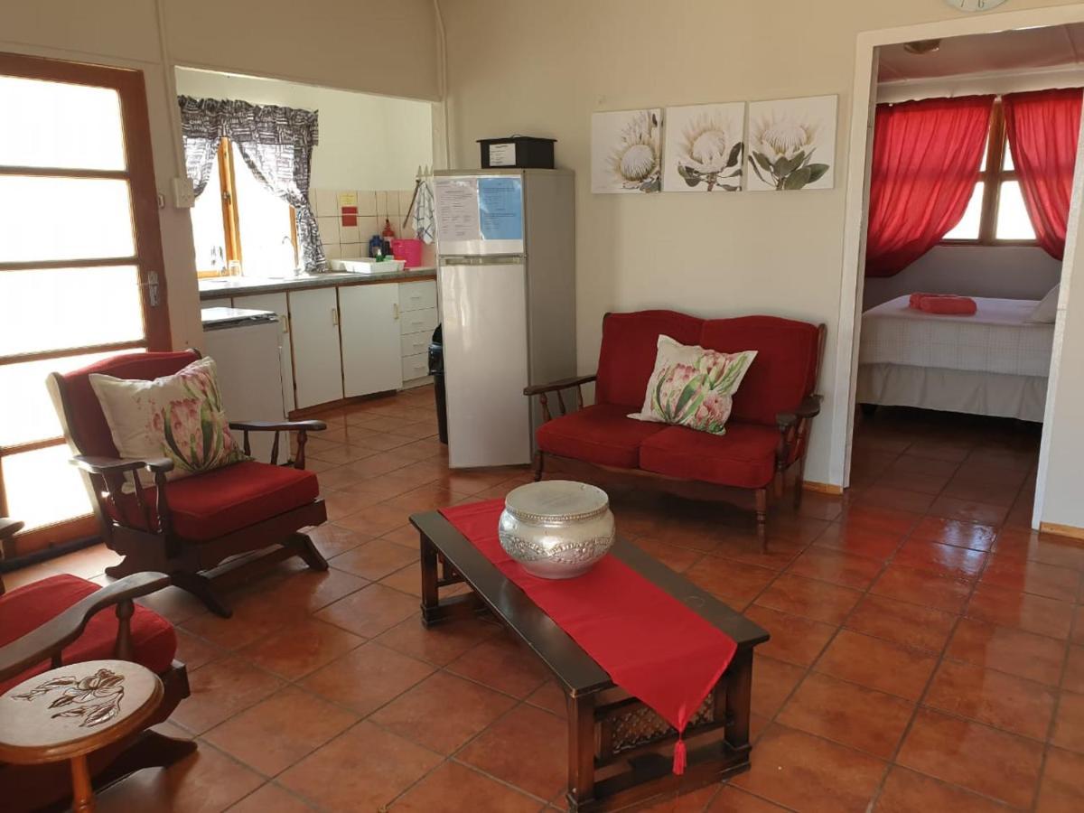 Honne-Pondokkies Hondeklipbaai Extérieur photo